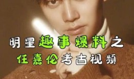 任嘉伦漫画爆料视频在线观看